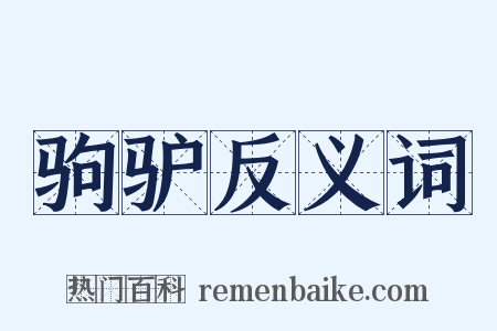 驹驴反义词是什么意思的图片